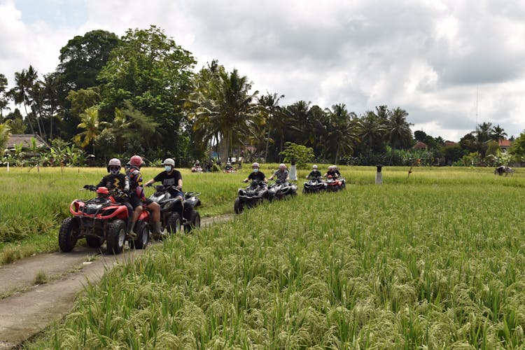 Batur volcano sunrise, hike and ATV quad adventure