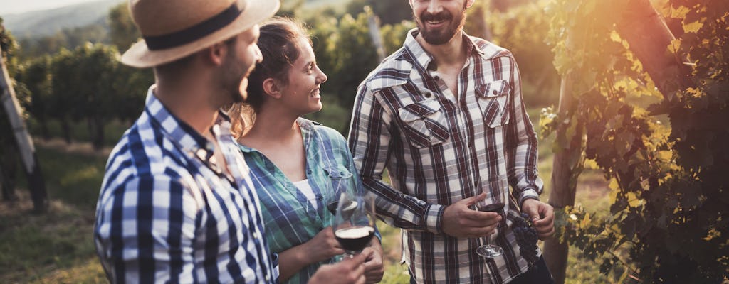 Visite guidée d'une demi-journée des vignobles du mont Tamborine avec déjeuner