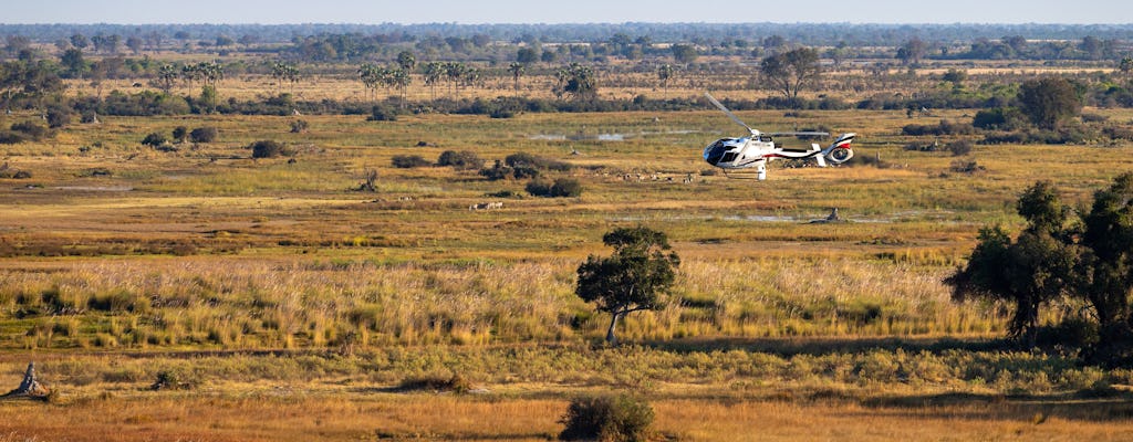 Voo panorâmico de helicóptero no Delta do Okavango saindo de Maun