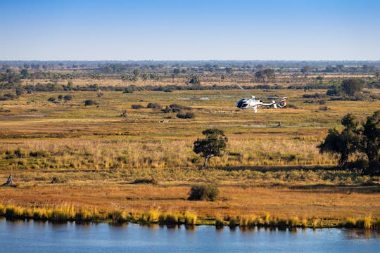 Vol panoramique en hélicoptère dans le delta de l'Okavango au départ de Maun