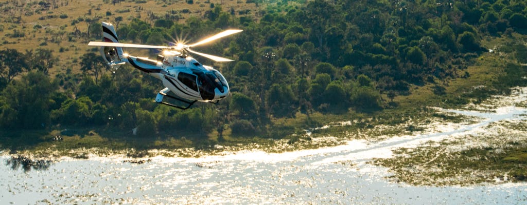 Prywatna wycieczka helikopterem po delcie Okavango z piknikiem na wyspie Gourmet