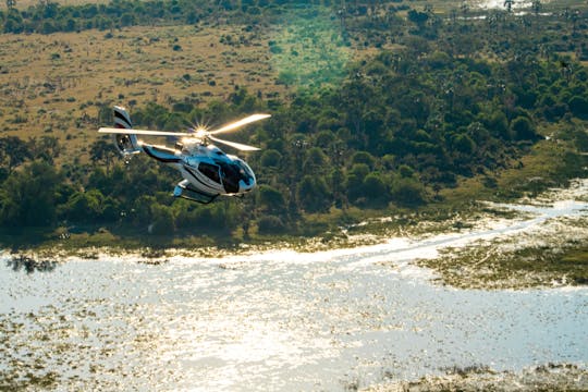 Visite privée en hélicoptère du delta de l'Okavango avec pique-nique sur l'île gastronomique