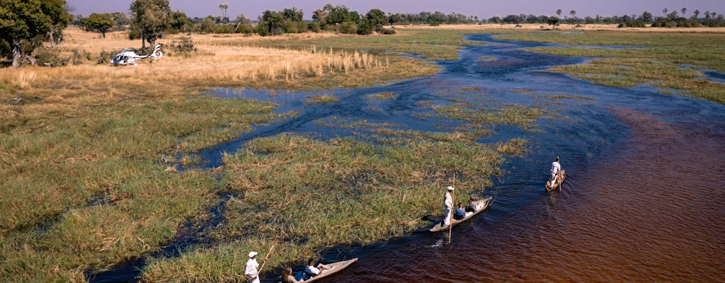 Tour privato in elicottero del Delta dell'Okavango e canoa mokoro