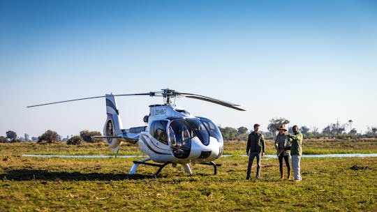 Passeio particular de helicóptero pelo Delta do Okavango e caminhada pela mata