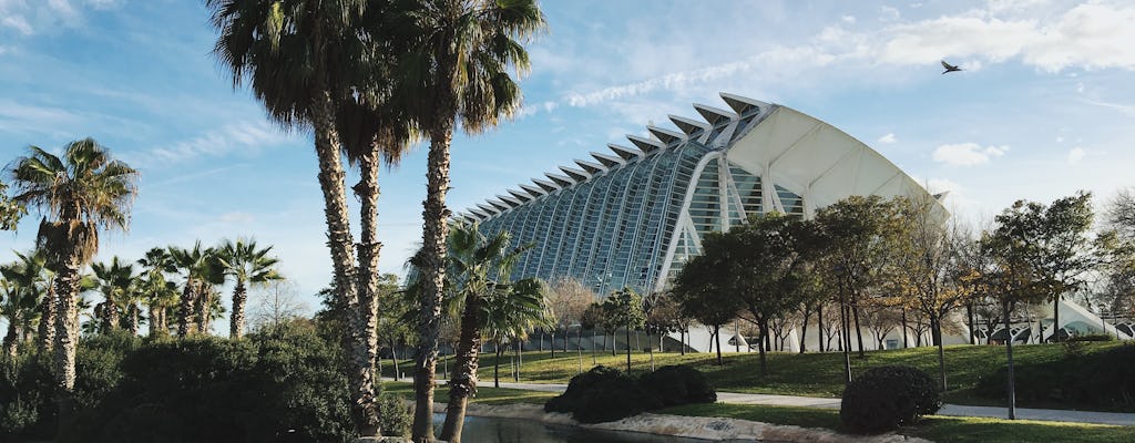 Discover Valencia on a guided tour with a local