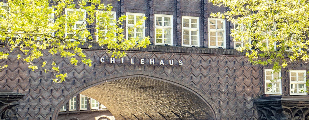 Guided tour to Hamburg's photogenic places with a local