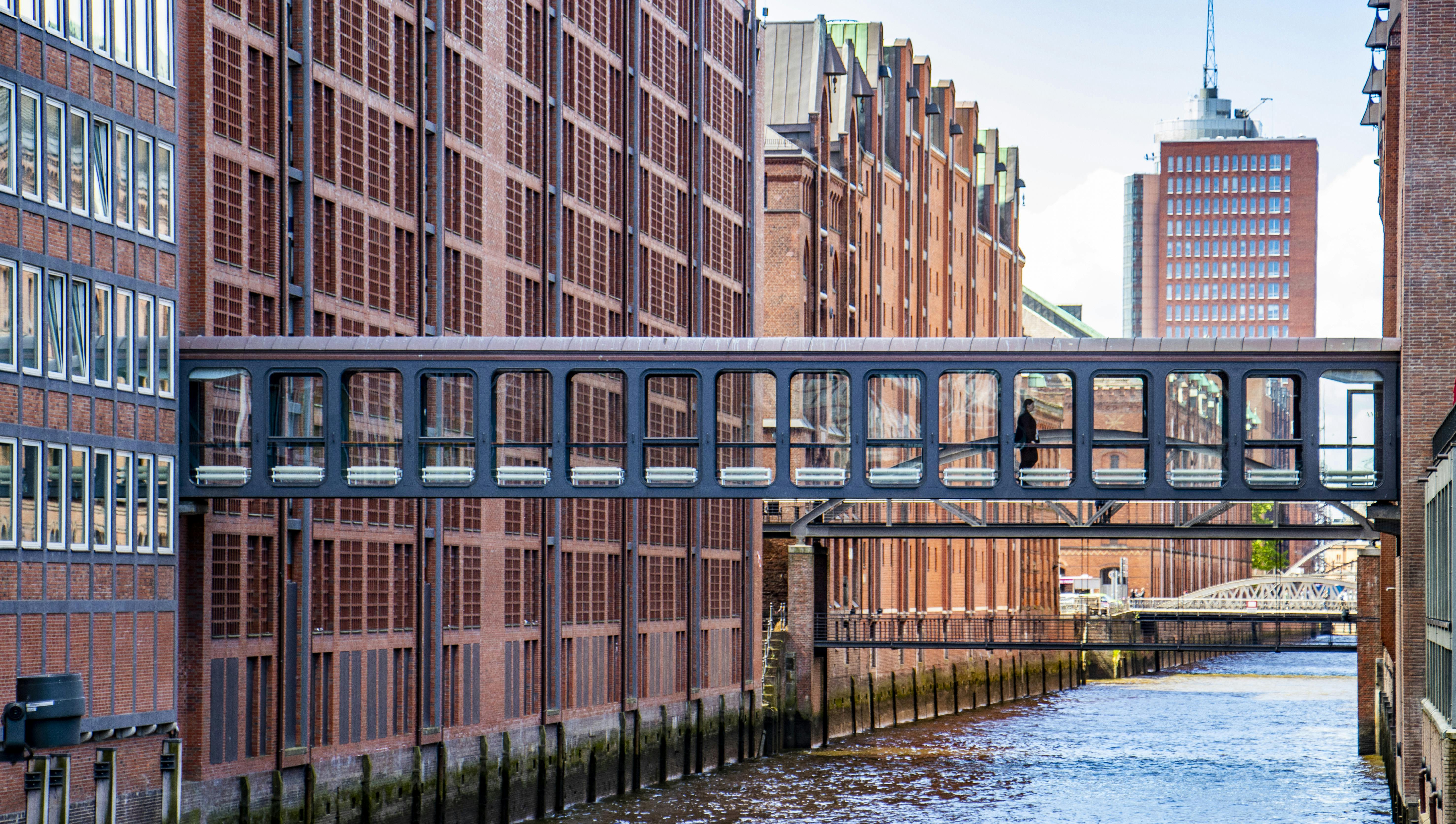 Hamburg 90-minute walking tour with a local