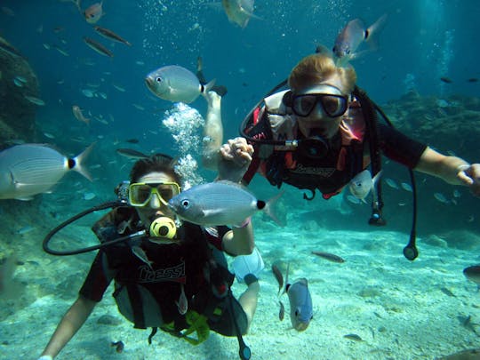 Plongée sous-marine pour débutants à Alanya