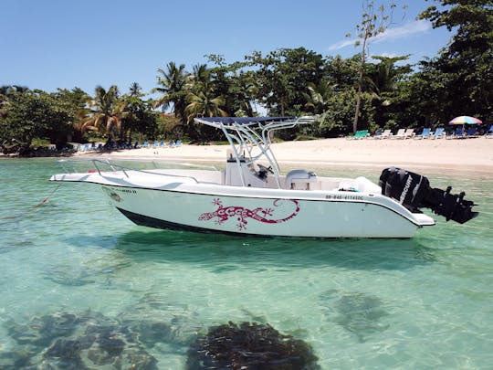 Samaná Taxiboot