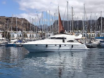 Magic Island Yacht Cruise Private Charter