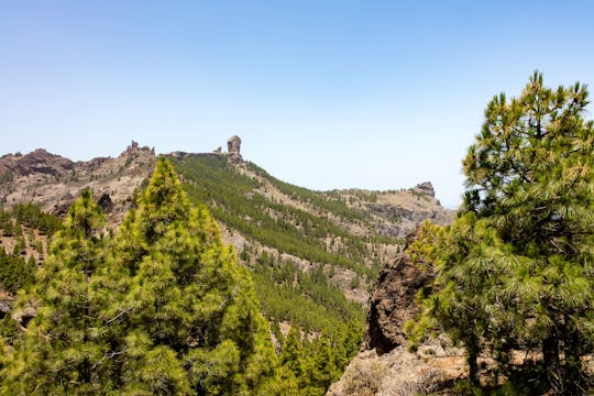 Visite privée des points forts de Gran Canaria