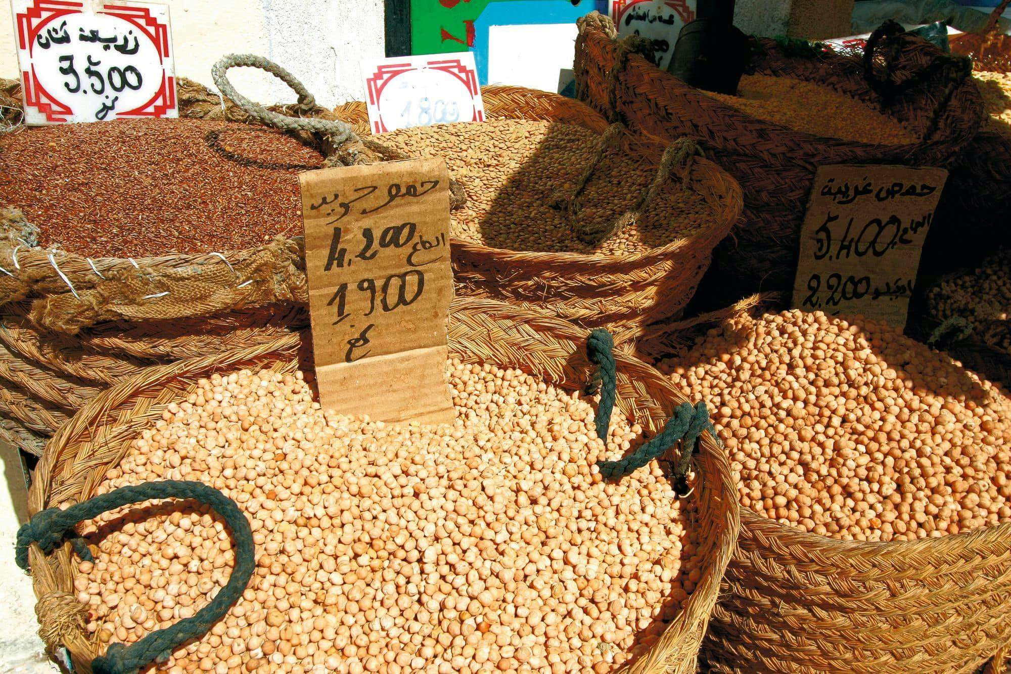 Mahdia Medina and Monastir private tour with farm lunch