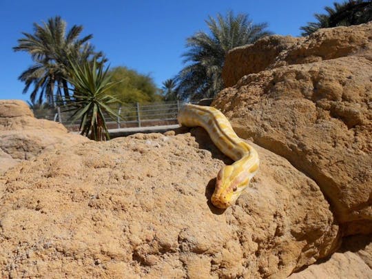 Visite privée de découverte de Djerba