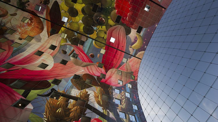 Private Markthal tour and Het Witte Huis rooftop visit