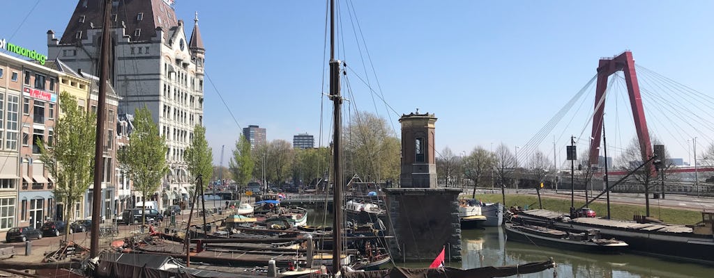 Passeio privado a pé por Rotterdam do passado ao presente com o Depot