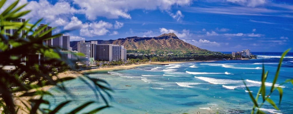 Daytime Waikiki glass-bottom boat tour