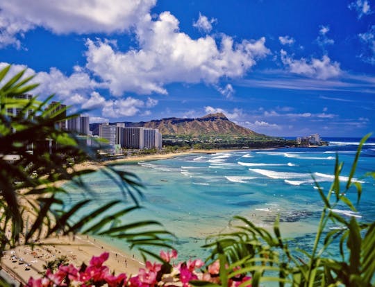 Daytime Waikiki glass-bottom boat tour