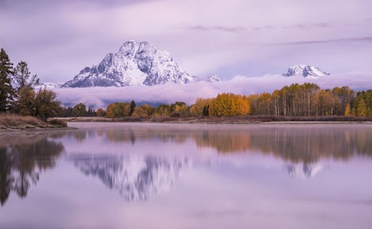 Safari au lever du soleil en hiver et au printemps depuis Jackson Hole