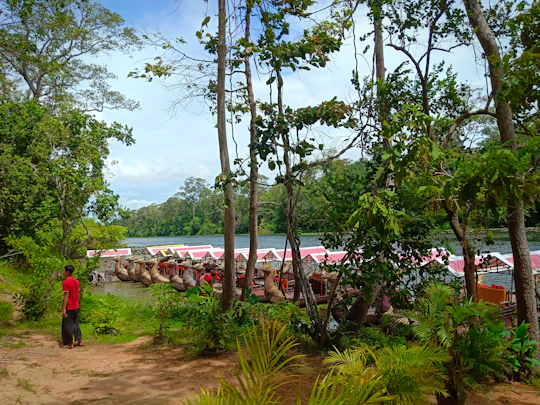 Gondola paddle boat one hour private sunset tour in Siem Reap