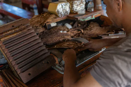 Punta Cana ATV Quad Tour