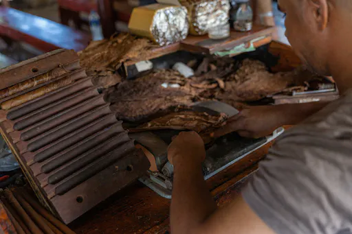 Punta Cana ATV Quad Tour