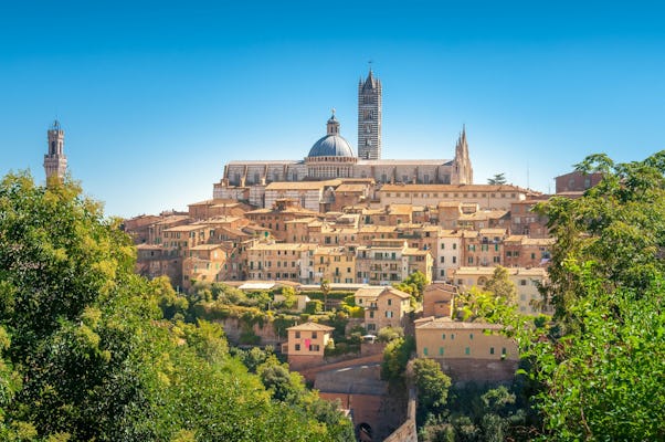 Visite en petit groupe de Sienne, de San Gimignano et du Chianti avec billets pour la cathédrale et déjeuner