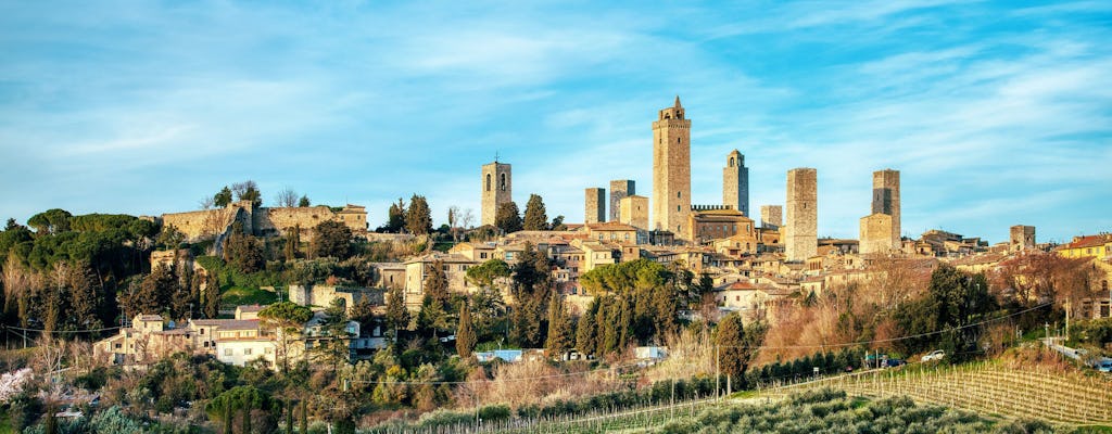 Private tour from Florence to Chianti, Siena and San Gimignano