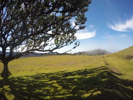 Fanal Walk from the West