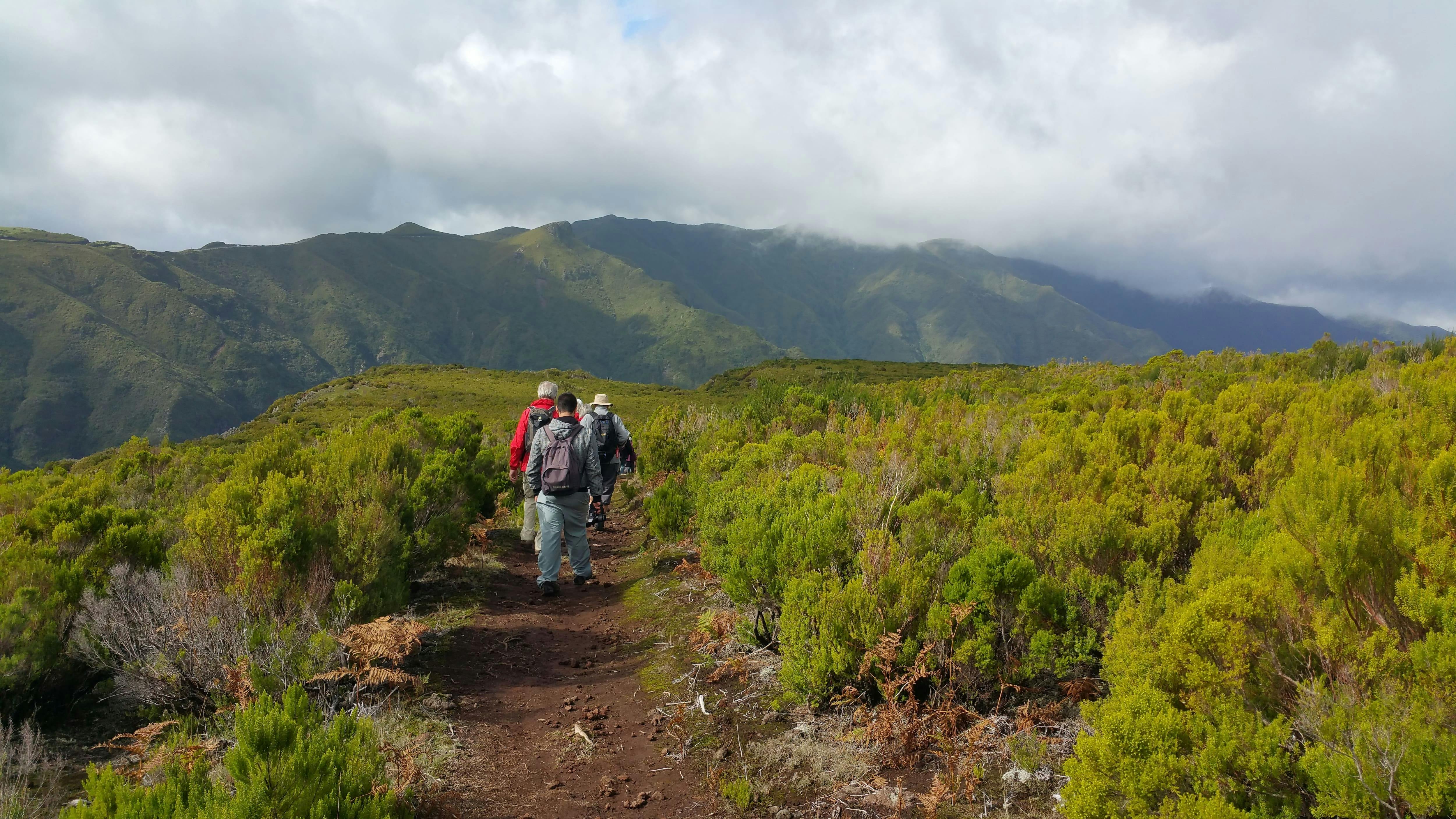 Fanal Walk from the West