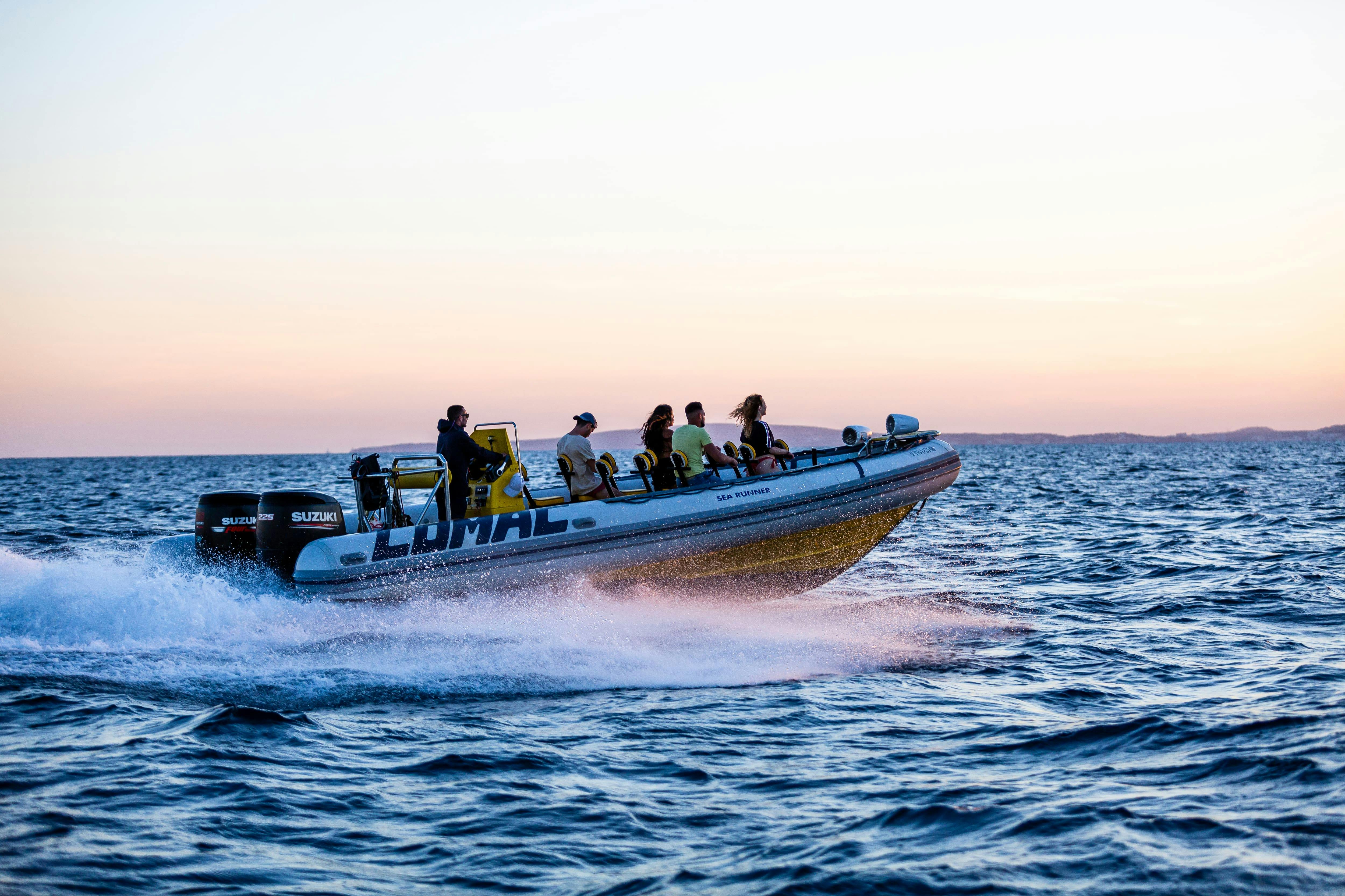 Palma Bay Life & Sea One-hour Speedboat Tour