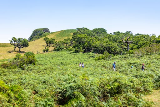 Fanal Walk from the West