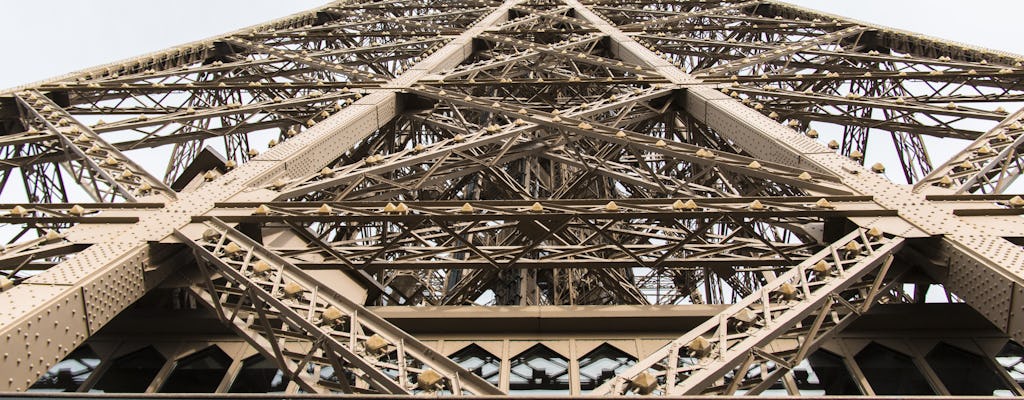 Eiffeltoren priority tickets tot het hoogste punt met host