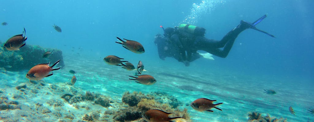 Plongée sous-marine au sud de Fuerteventura