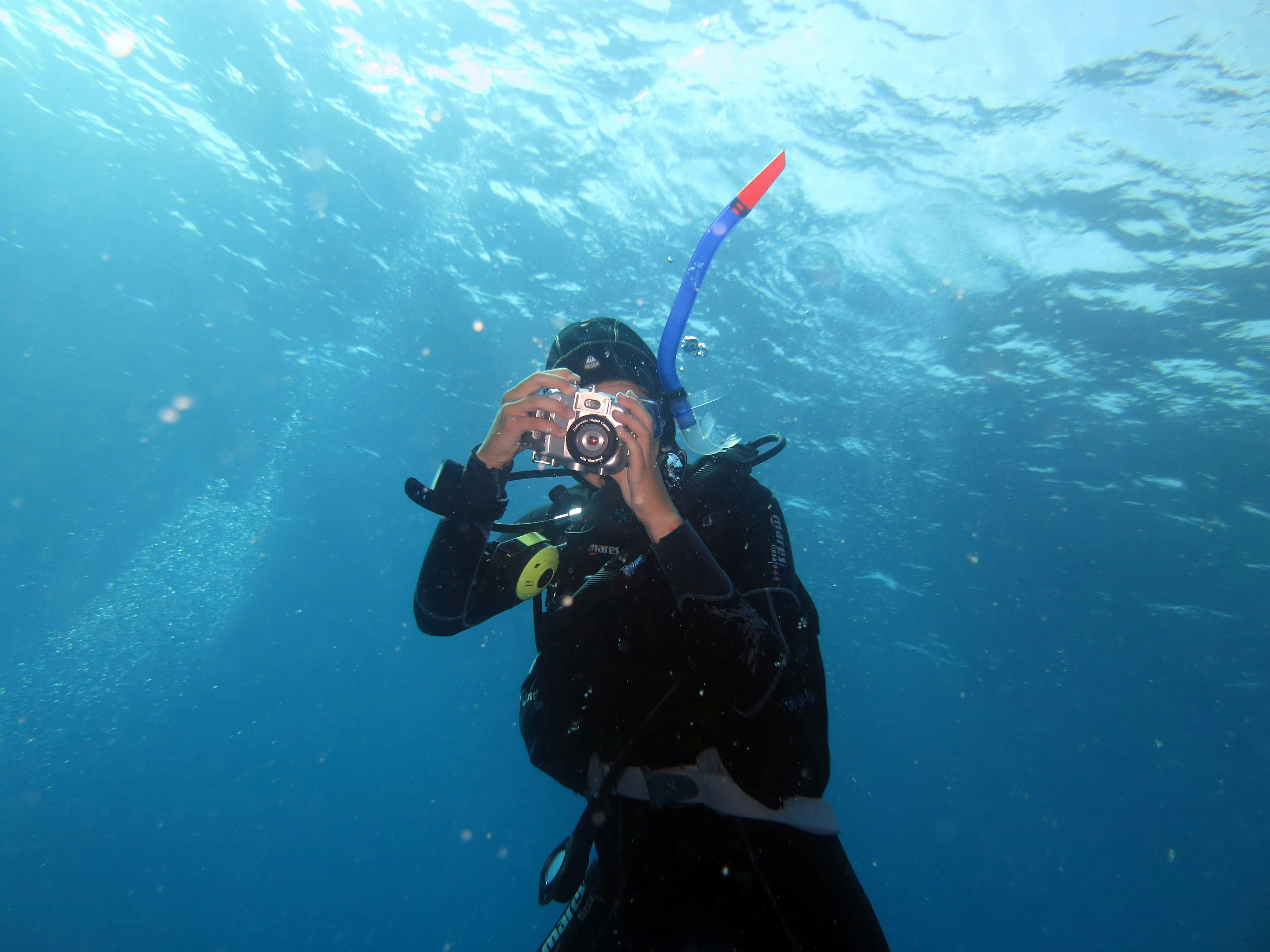 Fuerteventura Scuba Diving & Courses