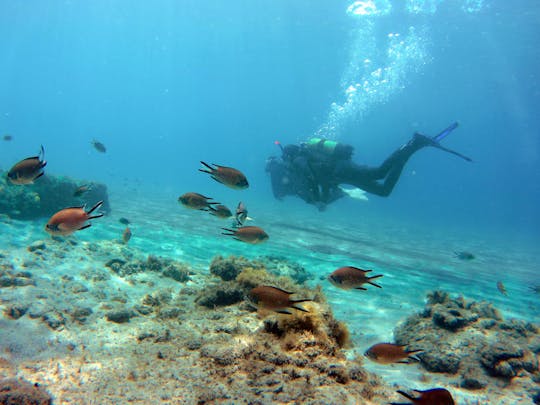 Diving in the south of Fuerteventura