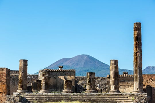 Pompeii & Herculaneum in Private Vehicle with Driver