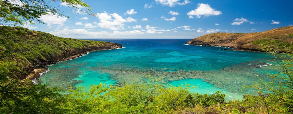 Bellissimi colori del tour fotografico delle Hawaii