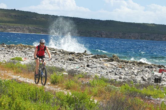 Curaçao Mountain Bike Tour Ticket