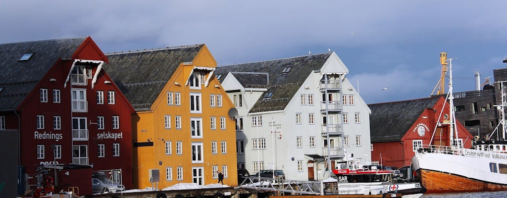 Tour a piedi in famiglia a Tromsø