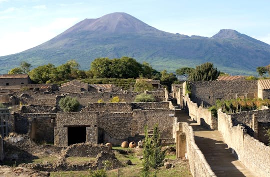 Pompeii in Private Vehicle with Driver