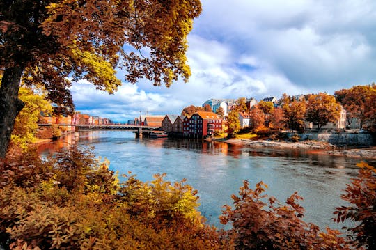 Tour a piedi per famiglie a Trondheim