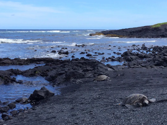 Big Island of Hawaii sightseeing day tour from Kohala