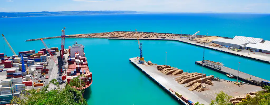 Activités à Napier