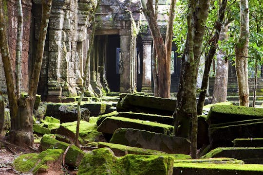 Beng Mealea en Banteay Srei-tempel privétour van een hele dag