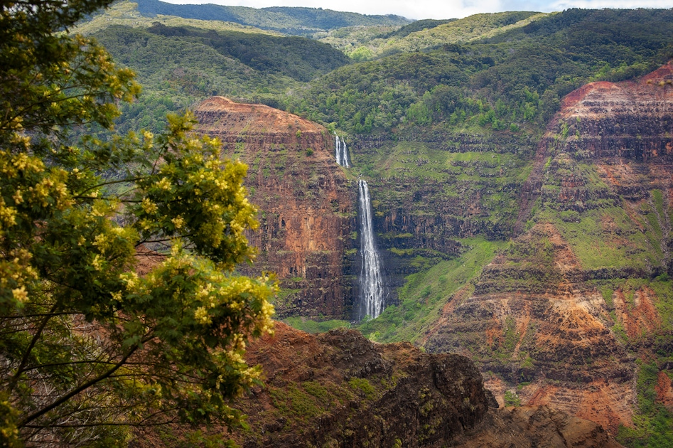 Nature in Kauai Nature in Kauai