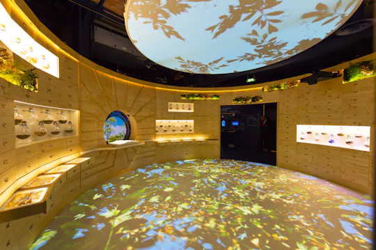 Musée de l'anis et de la Provence avec expérience 4D en Mehari