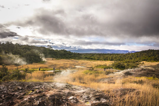 Big Island of Hawaii volcano hiking tour from Kohala