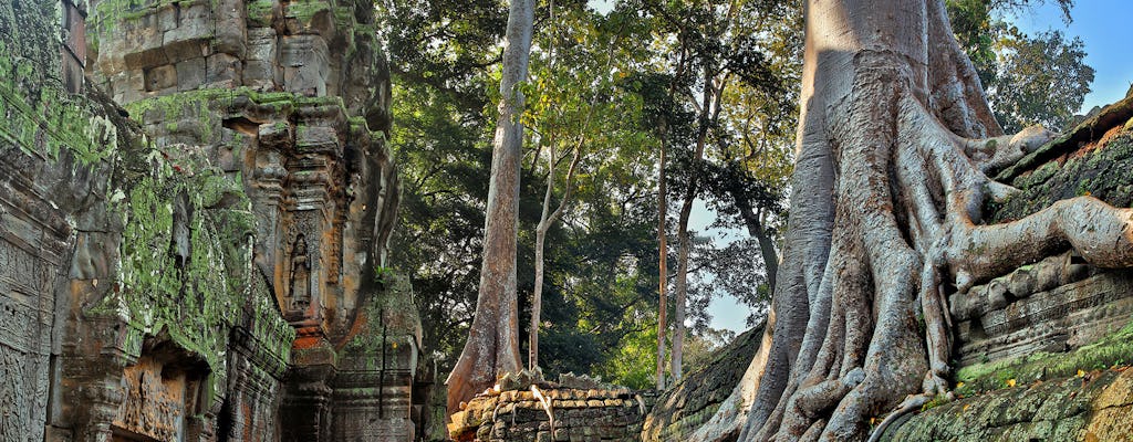 Excursión al amanecer para explorar Angkor Wat en grupos pequeños