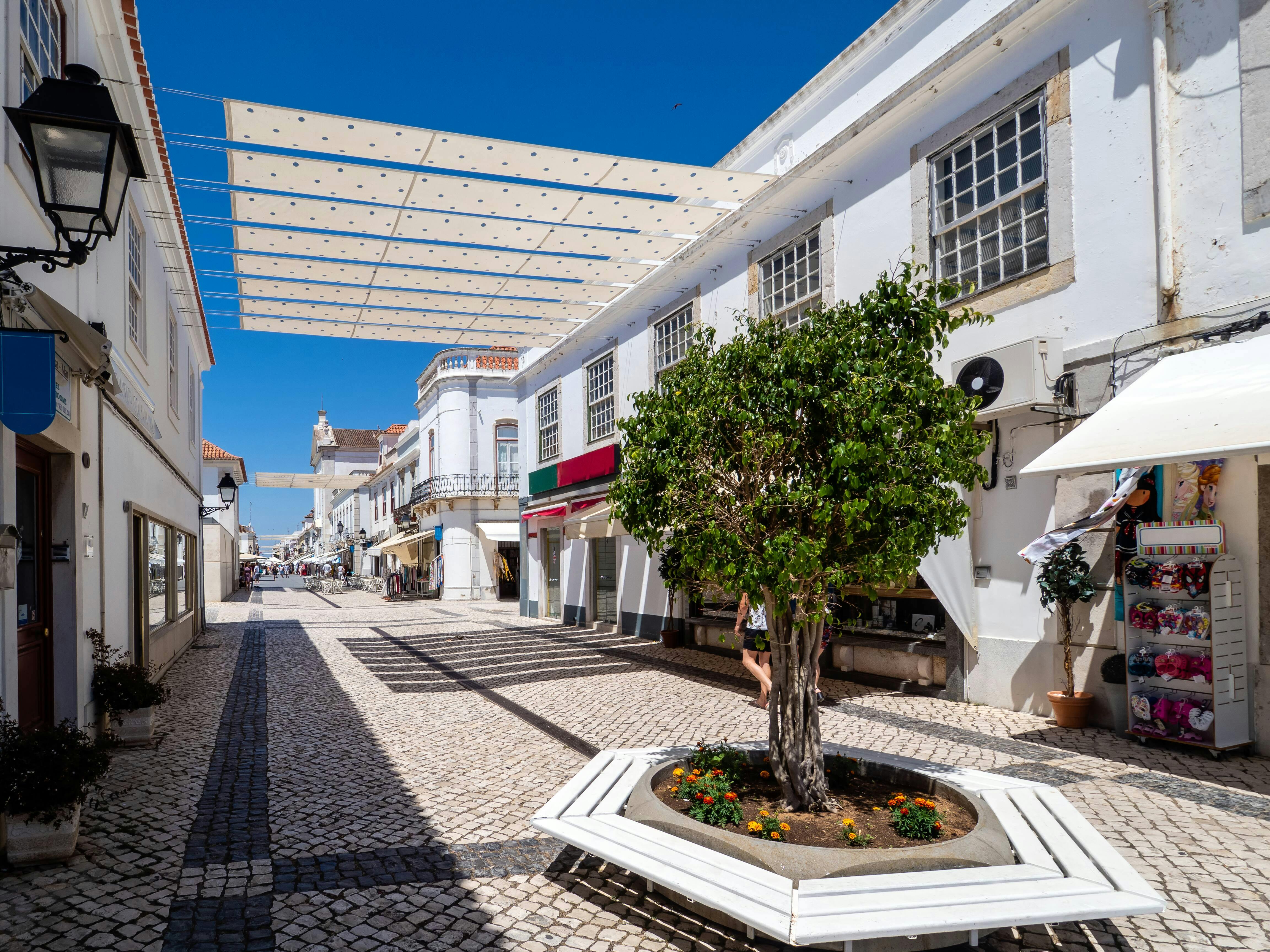 Guadiana River Boat Cruise & Alcoutim Village Tour