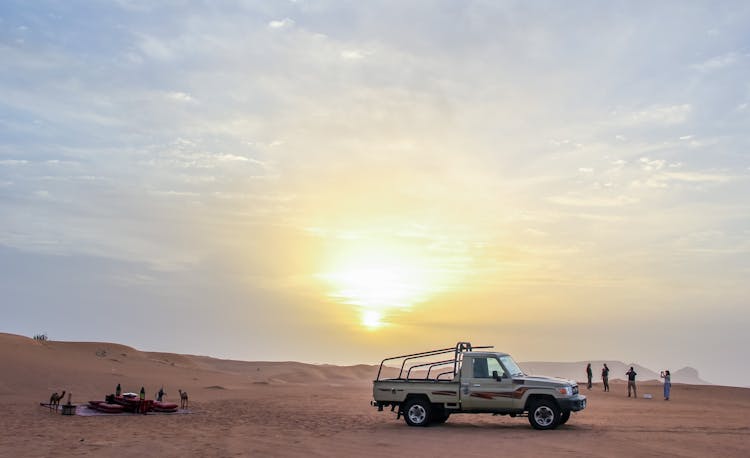4x4 sunrise and wildlife desert experience